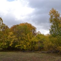 Осенние листья...летят и летят... :: Андрей Хлопонин