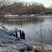 Застряли льдины у бывшего моста :: Galina Solovova