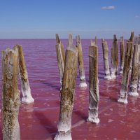 Розовые воды солёного озера-Крым :: Наталия Григорьева