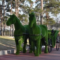 Московская область. Переделкино. Зеленые лошадки с каретой. :: Наташа *****