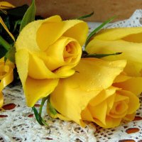 Дарите жёлтые цветы. :: nadyasilyuk Вознюк