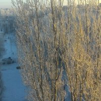 зима :: Елена Шаламова