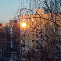 Луч солнца заглянул в окно :: Galina Solovova