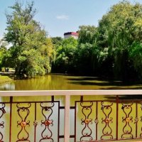Мостик через канал реки Кубань в парке Зеленый остров Черкесска :: Елена (ЛенаРа)