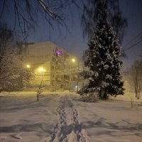 Снежный вечер :: Алексей Домрин