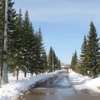 СНЕЖНЫЙ АПРЕЛЬ В ГОРОДЕ :: Валентина 