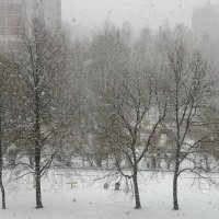 Снегопад Сегодня :: Митя Дмитрий Митя