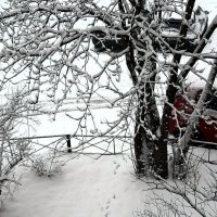 Следы на снегу :: Наталья Герасимова