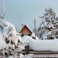 Снежное покрывало :: Любовь Зинченко 