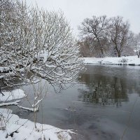 Весенний снегопад :: Сергей Курников