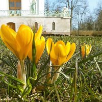 Весна в Царском Селе. :: VasiLina *