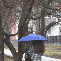 Дождь. :: Валентина  Нефёдова 