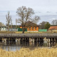 Мост через реку Ипуть :: оксана 