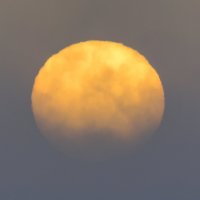 Апельсин в тумане... :: DimaShu Shu