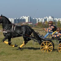 Погоня. :: Алекс Ант