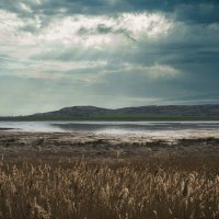 Оз. Вшивое. Ставропольский край. :: Александр Алексеев