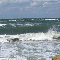 Море, море :: Вера Щукина