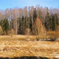 Смоленская весна (репортаж из смоленской глубинки). :: Милешкин Владимир Алексеевич 