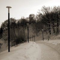 Сны зимы :: Дмитрий Потапов