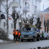 Бычок :: Сергей Уткин