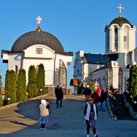 С Вербным Воскресением , друзья! :: Евгений 