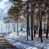 В сквере на набережной. :: Виктор Иванович Чернюк