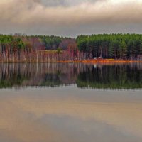 На озере Силанде. Лен. обл. :: Любовь Зинченко 