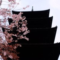 Пятиярусная пагода Тодзи To-ji Киото Япония :: wea *