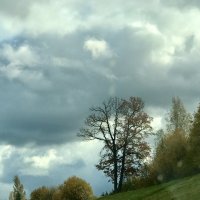 Небо, дерево, пейзаж) :: Альбина 