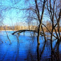 вода поднялась :: Сергей Кочнев