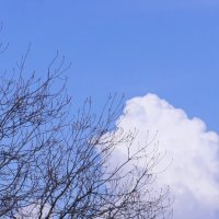 Весеннее облако. :: сергей 