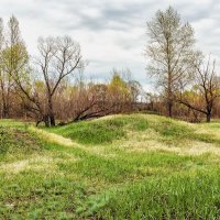 В конце апреля пасмурное утро.. :: Юрий Стародубцев