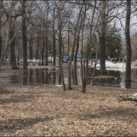 В апрельском парке :: Александр Тарноградский