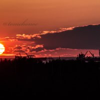 Алый закат :: Тамара Васильевна