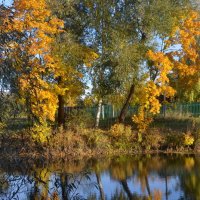 Осенний пруд :: Маруся Маруся