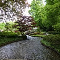 Японский садик... :: Galina Dzubina