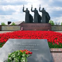 Памяти советских воинов, погибших в июле 1942 - январе 1943 г. на Чижовском плацдарме посвящается :: Татьяна 