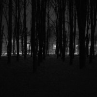 в темном претёмном лесу . :: Серж Поветкин