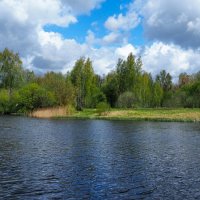 Весенняя природа Смоленщины. :: Милешкин Владимир Алексеевич 