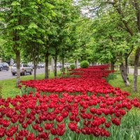 Проспект Ватутина :: Игорь Сарапулов