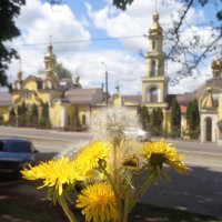 На войне нет атеистов - все начинают верить в бога... :: Alex Aro Aro Алексей Арошенко