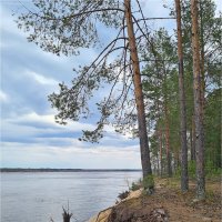 Архангельская область :: Анастасия Северюхина