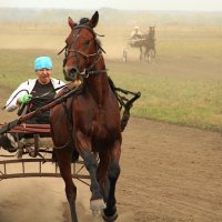 Коня  на скаку остановит :: Владимир Кириченко