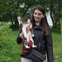 У кошки Леи по расписанию прогулка возле монастыря :: Евгений 