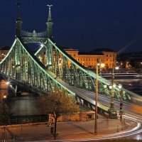 Мост Свободы. Будапешт :: Alex Chilaj
