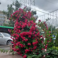 Алматы. :: Murat Bukaev 