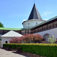 Новоспасский монастырь :: Oleg4618 Шутченко