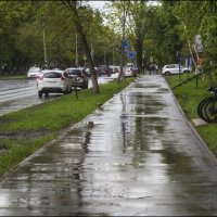 Дождливый май :: Александр Тарноградский
