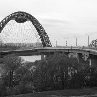 живописный мост :: Тарас Золотько