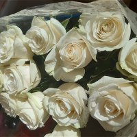 За красоту мы любим розы! :: Нина Андронова